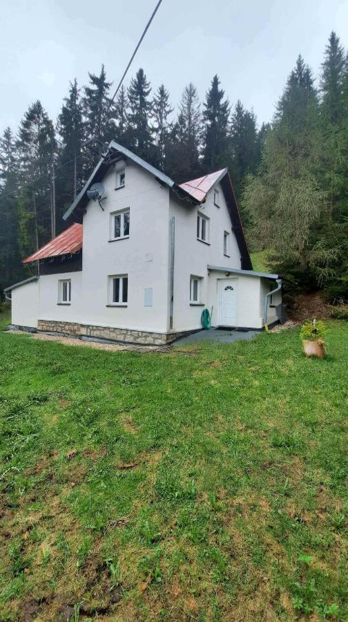 Dum U Lesa - Nove Hamry Nové Hamry Exterior foto