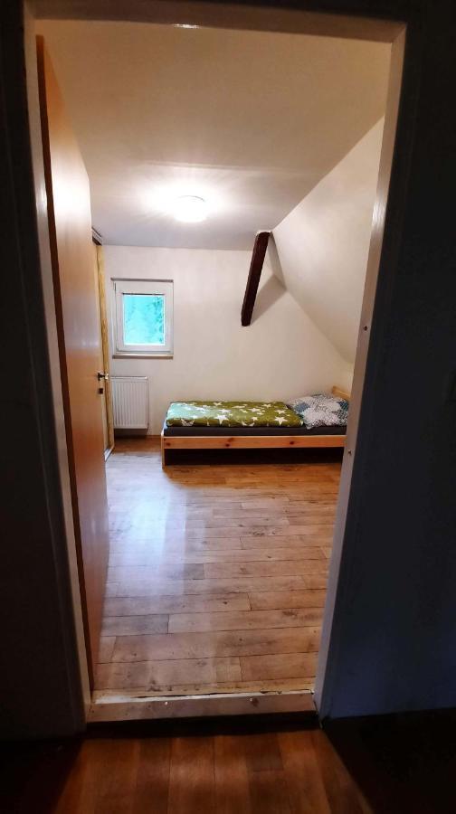 Dum U Lesa - Nove Hamry Nové Hamry Exterior foto