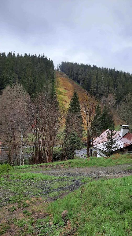 Dum U Lesa - Nove Hamry Nové Hamry Exterior foto